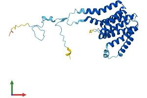 Protein Structure (PS) image for Phosphatidylinositol Glycan C (PIGC) (AA 1-297) protein (His tag) (ABIN7550819)