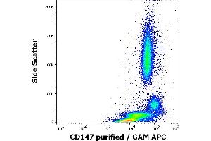 Flow cytometry surface staining pattern of human peripheral whole blood stained using anti-human CD147 (MEM-M6/2) purified antibody (concentration in sample 0.
