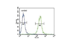 SPINK5 Antibody (N-term) (ABIN390855 and ABIN2841077) flow cytometric analysis of  cells (right histogram) compared to a negative control cell (left histogram).