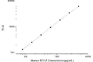 Typical standard curve (BDNF CLIA Kit)