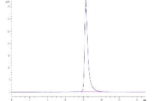 The purity of Human SECTM1 is greater than 95 % as determined by SEC-HPLC. (SECTM1 Protein (AA 29-145) (Fc Tag))