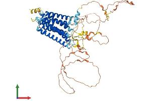 Protein Structure (PS) image for G Protein-Coupled Receptor 123 (GPR123) (AA 1-578) protein (His tag) (ABIN7559134)