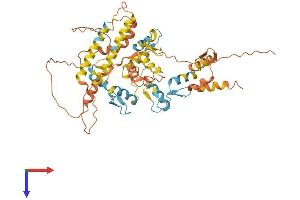 ZNF655 Protein (AA 1-491) (His tag)