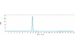 anti-IGF1R (Dalotuzumab Biosimilar) antibody