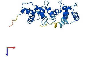 CIB2 Protein (AA 1-187) (His tag)