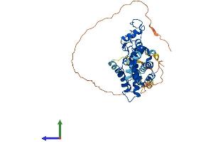 Protein Structure (PS) image for Nuclear Receptor Subfamily 2, Group F, Member 1 (NR2F1) (AA 1-423) protein (His tag) (ABIN7546709)