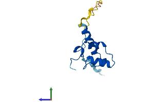 Protein Structure (PS) image for Polymerase (DNA-Directed), delta 4, Accessory Subunit (POLD4) (AA 1-107) protein (His tag) (ABIN7547124)