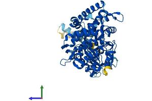 Protein Structure (PS) image for Cytochrome P450, Family 51, Subfamily A, Polypeptide 1 (CYP51A1) (AA 1-503) protein (His tag) (ABIN7559429)