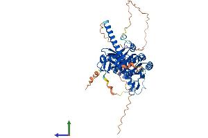 Protein Structure (PS) image for tRNA Methyltransferase 6 Homolog (TRMT6) (AA 1-497) protein (His tag) (ABIN7559280)