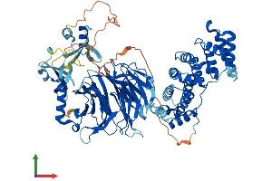 Protein Structure (PS) image for Phospholipase A2-Activating Protein (PLAA) (AA 1-794) protein (His tag) (ABIN7563027)