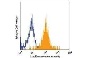 Flow Cytometry (FACS) image for anti-Activated Leukocyte Cell Adhesion Molecule (ALCAM) antibody (PE) (ABIN2663086)
