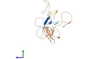 AlphaFold protein structure predicition of Mouse Recombinant Cabyr Protein, UniprotID Q9D424