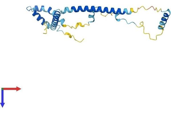 CCDC124 Protein (AA 1-223) (His tag)