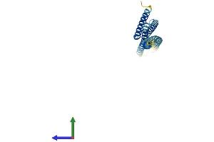 Protein Structure (PS) image for BCL2/adenovirus E1B 19kDa Interacting Protein 1 (BNIP1) (AA 1-228) protein (His tag) (ABIN7558094)