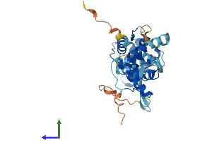 Protein Structure (PS) image for Parvin, gamma (PARVG) (AA 1-331) protein (His tag) (ABIN7550601)