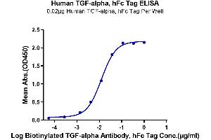 ELISA image for Transforming Growth Factor, alpha (TGFA) (AA 40-89) protein (Fc Tag) (ABIN7275716)