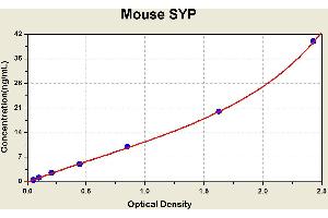 Diagramm of the ELISA kit to detect Mouse SYPwith the optical density on the x-axis and the concentration on the y-axis.