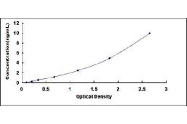 ODC1 ELISA Kit