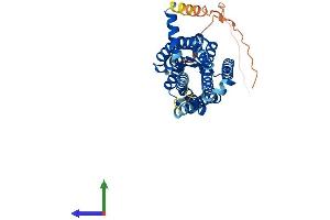 Protein Structure (PS) image for Melatonin Receptor 1B (MTNR1B) (AA 1-362) protein (His tag) (ABIN7549602)