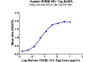 ELISA image for Tumor Necrosis Factor Receptor Superfamily, Member 14 (TNFRSF14) (AA 39-202) protein (Fc Tag) (ABIN7274832)