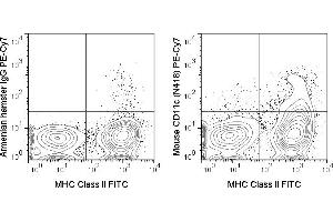 C57Bl/6 splenocytes were stained with FITC Anti-Mouse MHC Class II (ABIN6961605) and 1 μg PE-Cy7 Anti-Mouse CD11c (ABIN6961605) (right panel) or 1 μg PE-Cy7 Armenian Hamster IgG (left panel). (CD11c Antikörper  (PE-Cy7))