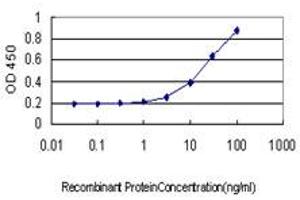 Detection limit for recombinant GST tagged STAU1 is approximately 1ng/ml as a capture antibody. (STAU1/Staufen Antikörper  (AA 401-496))