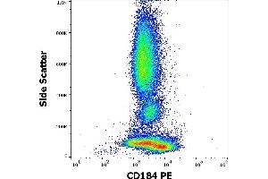 Flow cytometry surface staining pattern of human peripheral whole blood stained using anti-human CD184 (12G5) PE antibody (10 μL reagent / 100 μL of peripheral whole blood). (CXCR4 Antikörper  (PE))