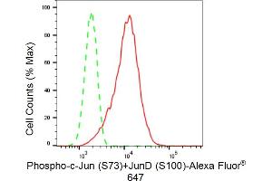 Flow cytometric analysis of Phospho-c-Jun (S73)+JunD (S100) expression in C2C12 cells using Phospho-c-Jun (S73)+JunD (S100) antibody (ABIN7799147), 1:(ABIN7798691).