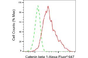 Flow cytometric analysis of Catenin beta 1 expression in C2C12 cells using Catenin beta 1 antibody (ABIN7797925), 1:2,000).