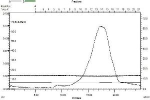 Size-exclusion chromatography-High Pressure Liquid Chromatography (SEC-HPLC) image for Glycerol-3-Phosphate Dehydrogenase 1 (Soluble) (GPD1) (AA 1-349) protein (Strep Tag) (ABIN3132955)