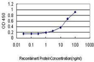 Detection limit for recombinant GST tagged LMO3 is approximately 1ng/ml as a capture antibody. (LMO3 Antikörper  (AA 91-146))
