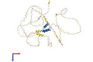IRX5 Protein (AA 1-483) (His tag)