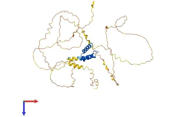 IRX5 Protein (AA 1-483) (His tag)