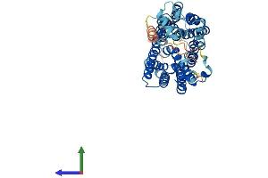 SLC17A4 Protein (AA 1-497) (His tag)