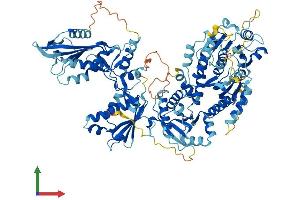 AlphaFold protein structure predicition of Human Recombinant SLFN14 Protein, UniprotID P0C7P3
