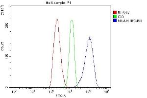 Flow Cytometry analysis of C6 cells using anti-MCAM antibody (ABIN7601026).