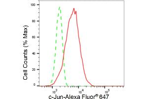 Flow cytometric analysis of c-Jun expression in HT- cells using c-Jun antibody (ABIN7799145), 1:2,000). (Rekombinanter C-JUN Antikörper)