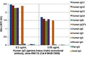 ELISA analysis of Human IgG (gamma heavy chain) monoclonal antibody, clone RM116  at the following concentrations: 0. (Kaninchen anti-Human Immunoglobulin Heavy Constant gamma 1 (G1m Marker) (IGHG1) Antikörper (Biotin))
