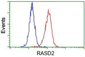 Flow cytometric Analysis of Hela cells, using anti-RASD2 antibody (ABIN2453587), (Red), compared to a nonspecific negative control antibody (TA50011), (Blue). (RASD2 Antikörper)