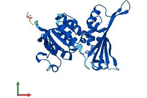 Protein Structure (PS) image for Aspartate Dehydrogenase Domain Containing (ASPDH) (AA 1-287) protein (His tag) (ABIN7561347)