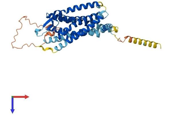 BDKRB2 Protein (AA 1-391) (His tag)