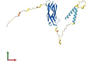 Protein Structure (PS) image for Motile Sperm Domain Containing 3 (MOSPD3) (AA 1-235) protein (His tag) (ABIN7549559)