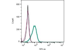 Cell surface detection of  TRPV1 by indirect flow cytometry in live intact mouse  microglia cell line: + goat-anti-rabbit-FITC.