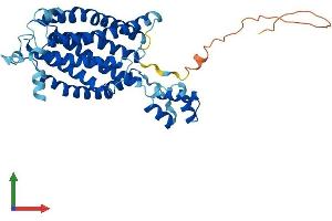 Protein Structure (PS) image for Ceramide Synthase 4 (CERS4) (AA 1-394) protein (His tag) (ABIN7553421)