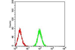 Flow Cytometry (FACS) image for anti-ATG3 Autophagy Related 3 (ATG3) (AA 1-100) antibody (ABIN5611291)