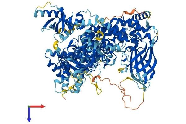 PIK3CB Protein (AA 1-1070) (His tag)