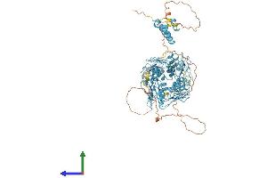 AlphaFold protein structure predicition of Human Recombinant ZNF160 Protein, UniprotID Q9HCG1