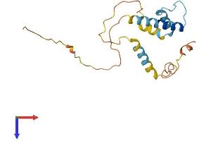 ID1 Protein (AA 1-168) (His tag)