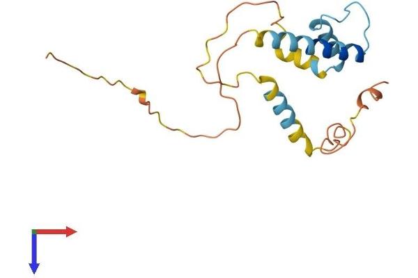 ID1 Protein (AA 1-168) (His tag)