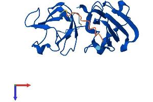 CRYBA1 Protein (AA 1-198) (His tag)